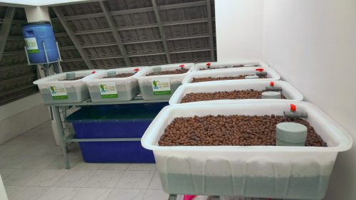 hệ thống trồng rau nuôi cá sạch aquaponics 7 khay to màu trắng