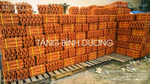 day_dai_buoc_gach_ngoi