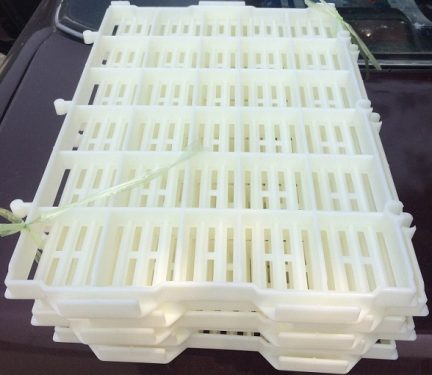 Tấm nhựa lót sàn chuồng heo (chuồng chó) 40x55 trắng mặt trái cao cấp Phú Hòa An