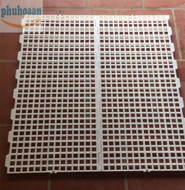 Tấm nhựa lót sàn chuồng dê Phú Hòa An