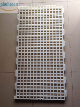 Tấm nhựa lót sàn chuồng dê Phú Hòa An