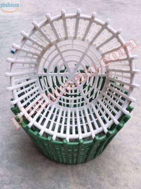 Chậu nhựa trồng lan