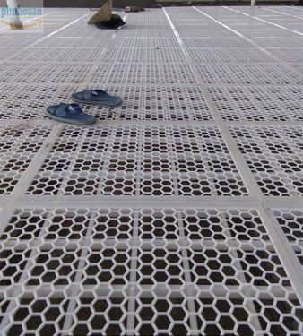 Báo giá sàn nhựa nuôi vịt ngan mới nhất 2020