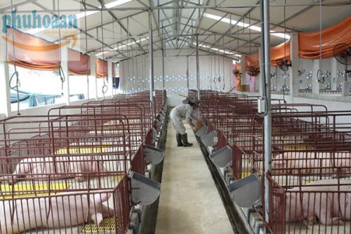 Tổng hợp các loại sàn nhựa chăn nuôi có trên thị trường