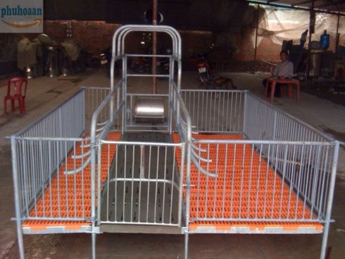 Tổng hợp các loại sàn nhựa chăn nuôi có trên thị trường