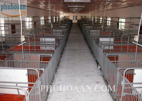 Một số chú ý khi xây dựng chuồng nuôi lợn thịt