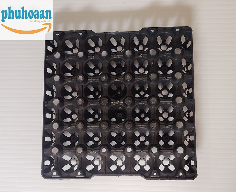 Báo giá khay đựng trứng 30 quả mới nhất