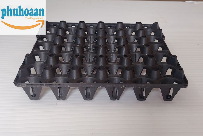 Báo giá khay đựng trứng 30 quả mới nhất