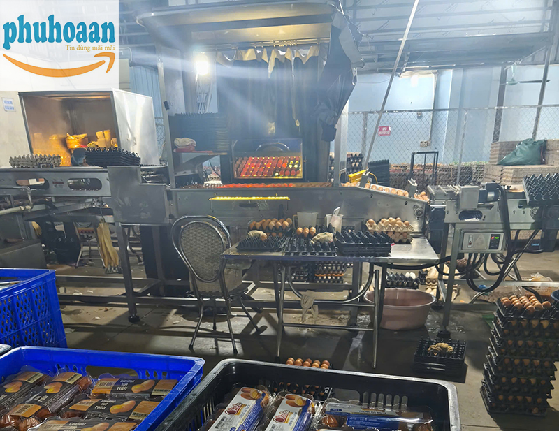 Mua Khay Đựng Trứng Ở Đâu Uy Tín, Giá Tốt